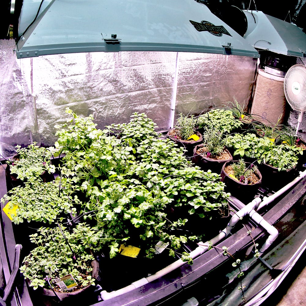 Hydro Supply Store in Venice, CA GreenCoast Hydroponics