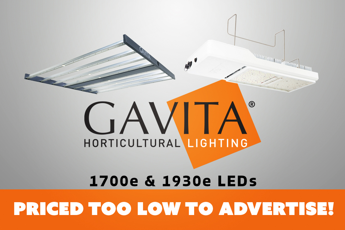 Gavita Ballasts available at all locations!