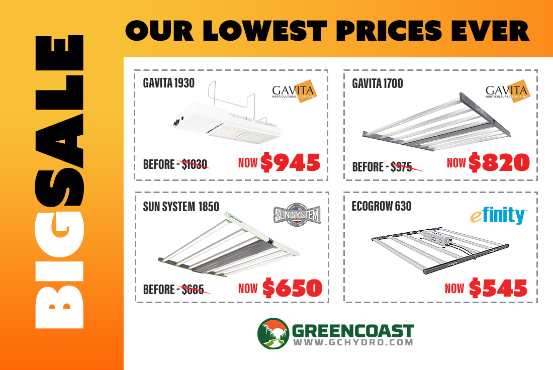 LED Special Sale