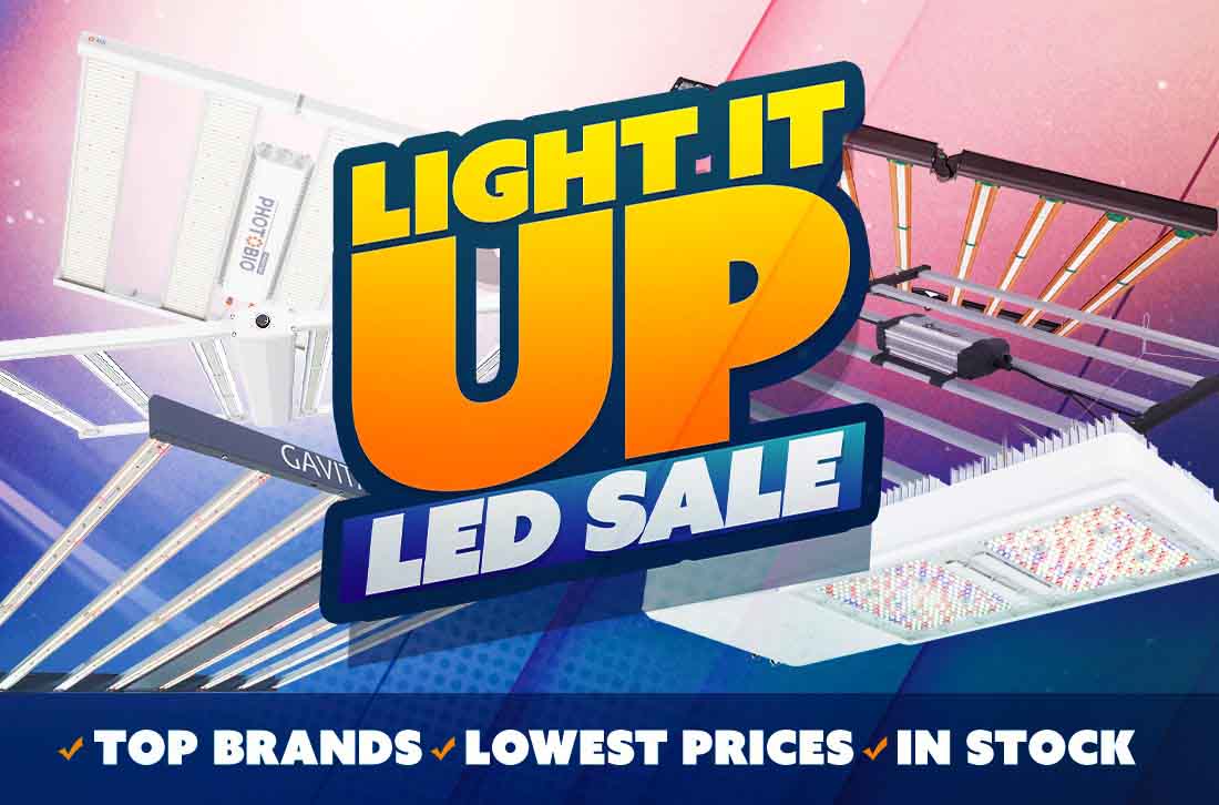 Light it up! LED Specials!